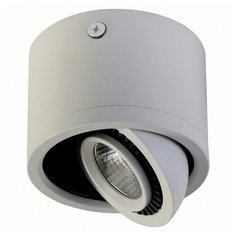 Накладной светильник Favourite Reflector 1774-1C