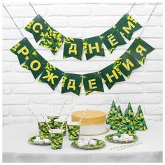 Набор бумажной посуды Страна Карнавалия "С днем рождения!" Хакки (3877351)