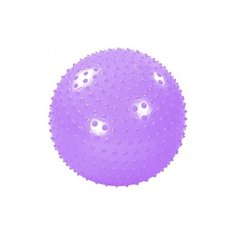 Мяч массажный с насосом Larsen