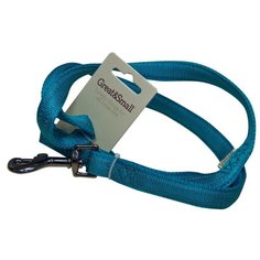 Поводок для собак GREAT&SMALL со светоотражающей острочкой 20х1200мм нейлон бирюзовый