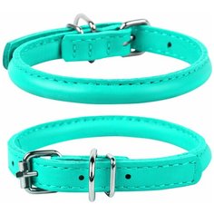 Круглый ошейник WAUDOG GLAMOUR 20-25 см 8 мм Ментоловый