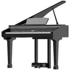Цифровое пианино Ringway GDP1120 черный