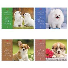 Альбом для рисования А4 40 л., спираль, обложка картон, HATBER, 205х290 мм, "Щенки" (4 вида в спайке), 40А4Всп