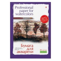 Папка для рисования акварелью А3, 20л, блок ГОЗНАК 200гр 4-020 дизайн в ассор Альт