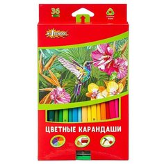 Карандаши цветные №1 School "ColorPics", 36 цветов, трехгранные с точилкой