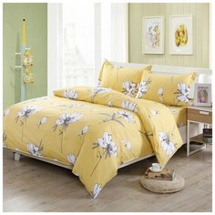 Постельное белье Valtery AP-18 (поплин) / Евро