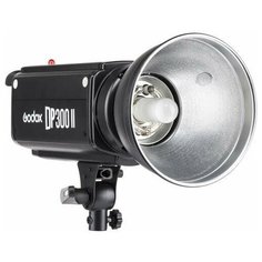 Моноблок Godox DP300II