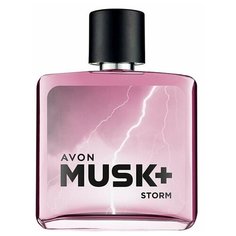 Туалетная вода Musk Storm+ для него, 75 мл Avon