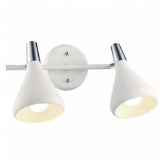 Спот Arte Lamp Ciclone A9154AP-2WH