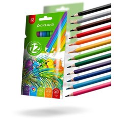 Союз Цветные карандаши Птицы, 12 цветов (CNB3KZ-12-P)