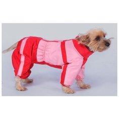 Комбинезон для собак породы вельш-корги (мальчик) "Тузик" теплый