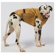 Попона №9 для собак пород доберман, ротвейлер, аргентинский дог, афганская борзая, бладхаунд, бобтейл, бульмастиф, бурбуль, колли, ризеншнауцер, родезийский риджбек, среднеазиатская овчарка, хаски, чёрный терьер (тёплая) Тузик