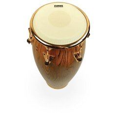 EVANS EC1250E Пластик