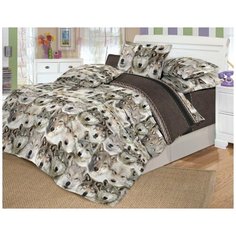 Постельное белье детское Valtery Поплин DL-16 "Зов предков"