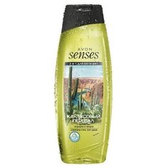 Avon Senses шампунь-гель для душа для мужчин с ароматом опунции и пачули "Кактусовый перевал" 250ml