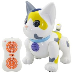 Junfa Toys Интерактивная игрушка на р/у "Котенок", световые и звуковые эффекты