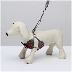 Комплект амуниции с мягкой шлейкой, размер S (ОШ 20-40, ОГ 30-44 см, поводок 120х1 см) Пушистое счастье