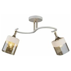 Люстра потолочная N3855/2 Borten