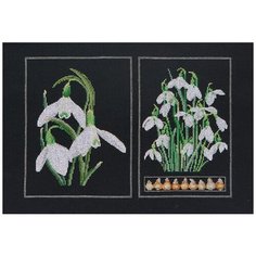 Набор для вышивания крестом Thea Gouverneur "Подснежники", 33*22 см (446.05)
