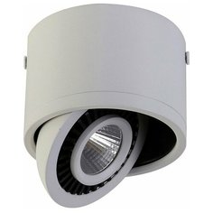 Накладной светильник Favourite Reflector 1776-1C