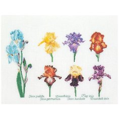 Набор для вышивания крестом Thea Gouverneur "Ирисы", 47*36 см (3051А)