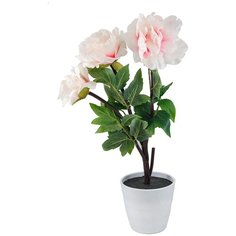 Декоративный светильник LED "Пион", на светодиодах, розовый Start