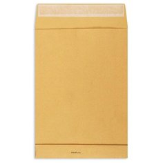 Конверт PACKPOST Extrapack B4 (250 х 353 мм) 25 шт.