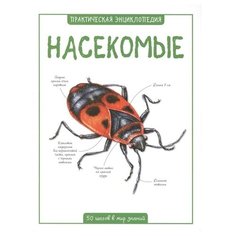 Бедуайер К. "Насекомые" Machaon