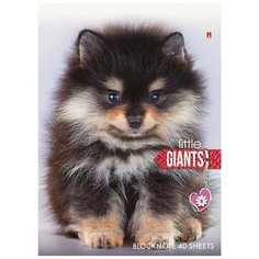 Блокнот Собаки А6 40л на гребне, в асс 3-40-297 Альт