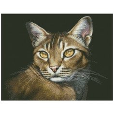 Алмазная мозаика Паутинка Абиссинская кошка, 35*45 см (ПАУ.М354)
