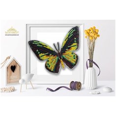 Пластиковая перфорированная основа Благовест 3D, Бабочка Ornithoptera Goliathus, 10*12 см (БЛГ.БС-114)