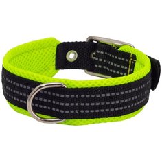Ошейник нейлоновый с мягкой подкладкой 20мм,27-35см, зеленый Каскад