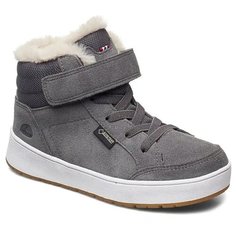 Ботинки VIKING Eagle Fur GTX (3-90155) размер 36, серый