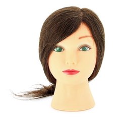 Голова учебная DEWAL"шатенка", натурал.волосы 30-40 см DEWAL MR-M-2023M-6