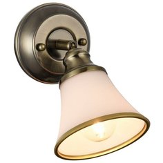 Спот Jasinta FR2272-WL-01-BS Freya