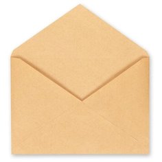 Конверт Ряжская печатная фабрика 76421 C4 (229 х 324 мм) 500 шт.