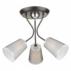 Потолочная люстра Freya Odri FR5030CL-03B