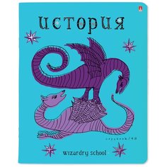 Тетрадь предметная 48Л, серия "школа волшебства" история Альт