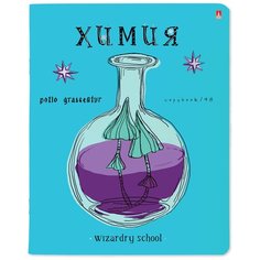 Тетрадь предметная 48Л, серия "школа волшебства" химия Альт