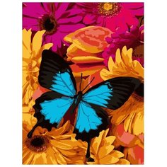 LORI Раскраска по номерам Яркая бабочка 28.5x38 см