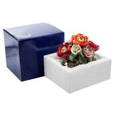 Музыкальная композиция Цветы и книги CMS-33/ 6 113-104132 Pavone