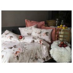 Постельное белье Issimo MALOGRA, Евро Цвет: Пудра, Хлопок | Сатин