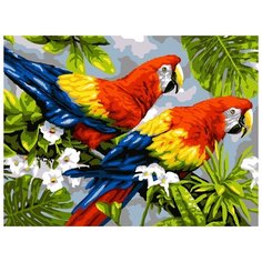 LORI Раскраска по номерам Пара попугаев 28.5x38 см