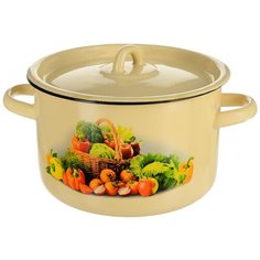 Кастрюля эмалиров. С крышкой декор. 4,5 Л "стальэмаль" 1С17С