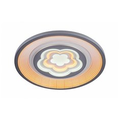Потолочный светильник ESCADA 10229/S LED, 128 Вт
