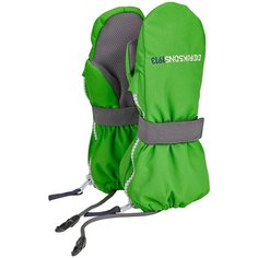 Рукавицы Biggles Zip 501098 Didriksons, 364 криптонит, размер 0/2