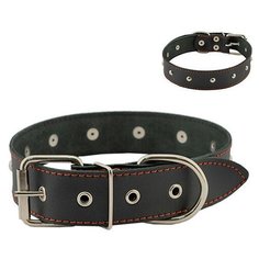 Ошейник для собак "Homepet", простроченный, с украшениями (натуральная кожа), цвет: черный, 35 мм x 49-61 см