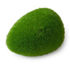 Декоративный мох для аквариума AQUA DELLA "Moos Ball", 11.5x9x6см (Бельгия)