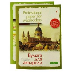 Папка для акварели Альт Professional paper for watercolors 29.7 х 21 см (A4), 200 г/м², 8 л.