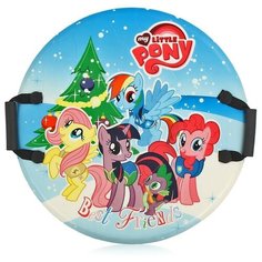 Ледянка My Little Pony Х50174 голубой Shenzhen Jingyitian Trade